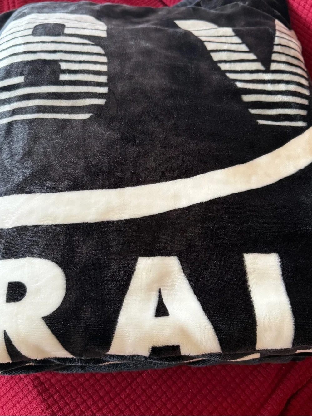 Las Vegas Raiders Black & White Plush Throw Blanket